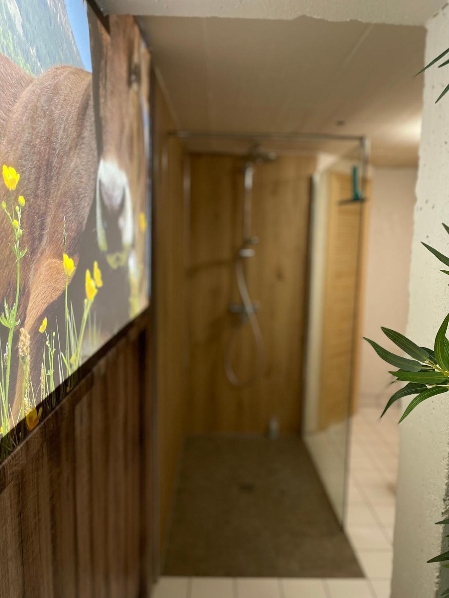 Ferienwohnung Am Muhlbach 21 Mit Bergbahn Unlimited Oberstdorf Ngoại thất bức ảnh